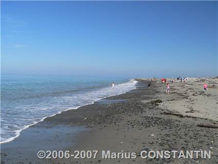 Dungeness Spit