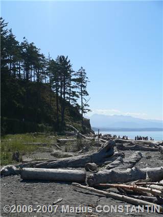 Dungeness Spit