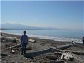 Marius la Dungeness Spit