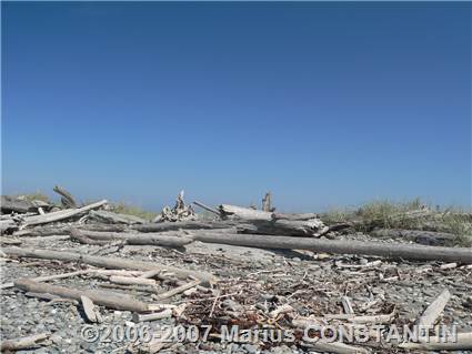 Dungeness Spit