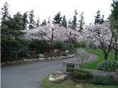 Chrism Park - Bellevue