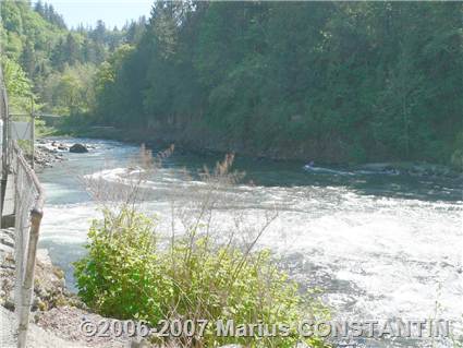 Snoqualmie River - near Falls