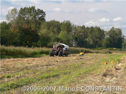 La plimbare cu tractorasul