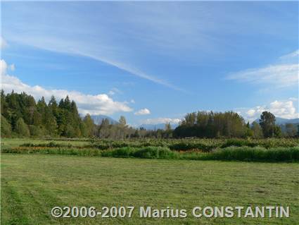 Children's Garden - ferma