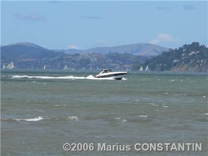 Bay Cruise