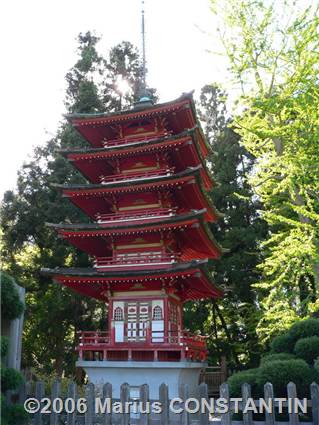 Japanese tea garden