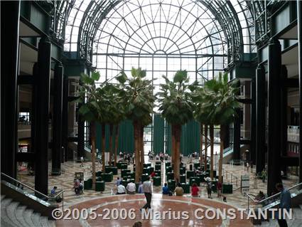 Winter Plaza 