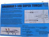 Povestea lui F-14B Supertomcat