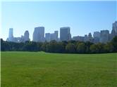 Sheep Lawn - in Central Park - New York