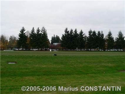 Redmond - Football field