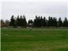 Redmond - Football field