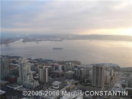 View from Space Needle